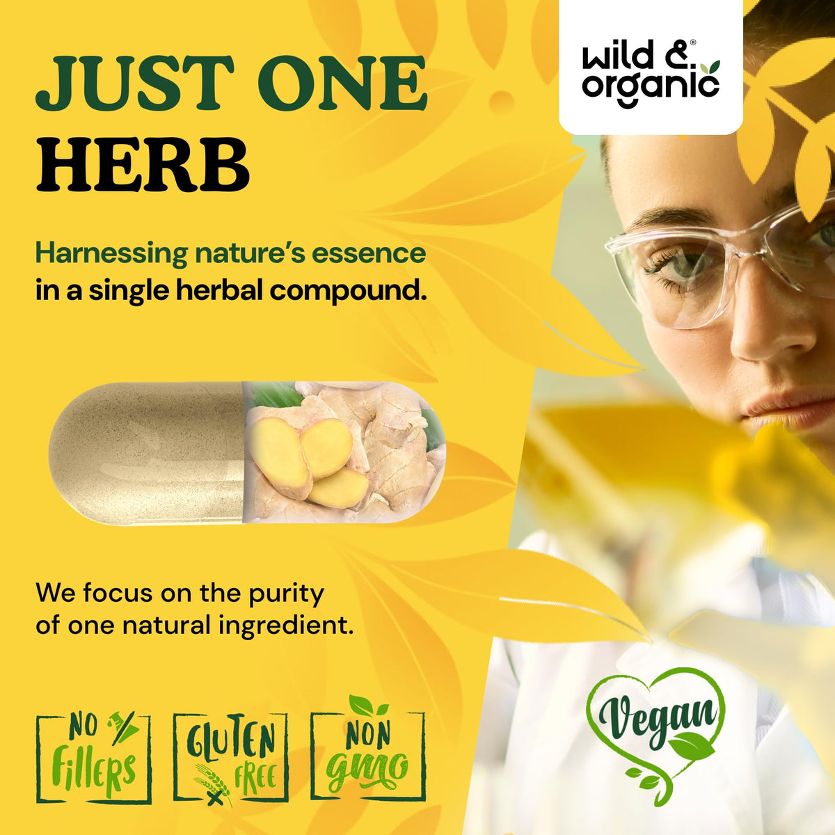 Capsules de gingembre Wild & Organic dans une main