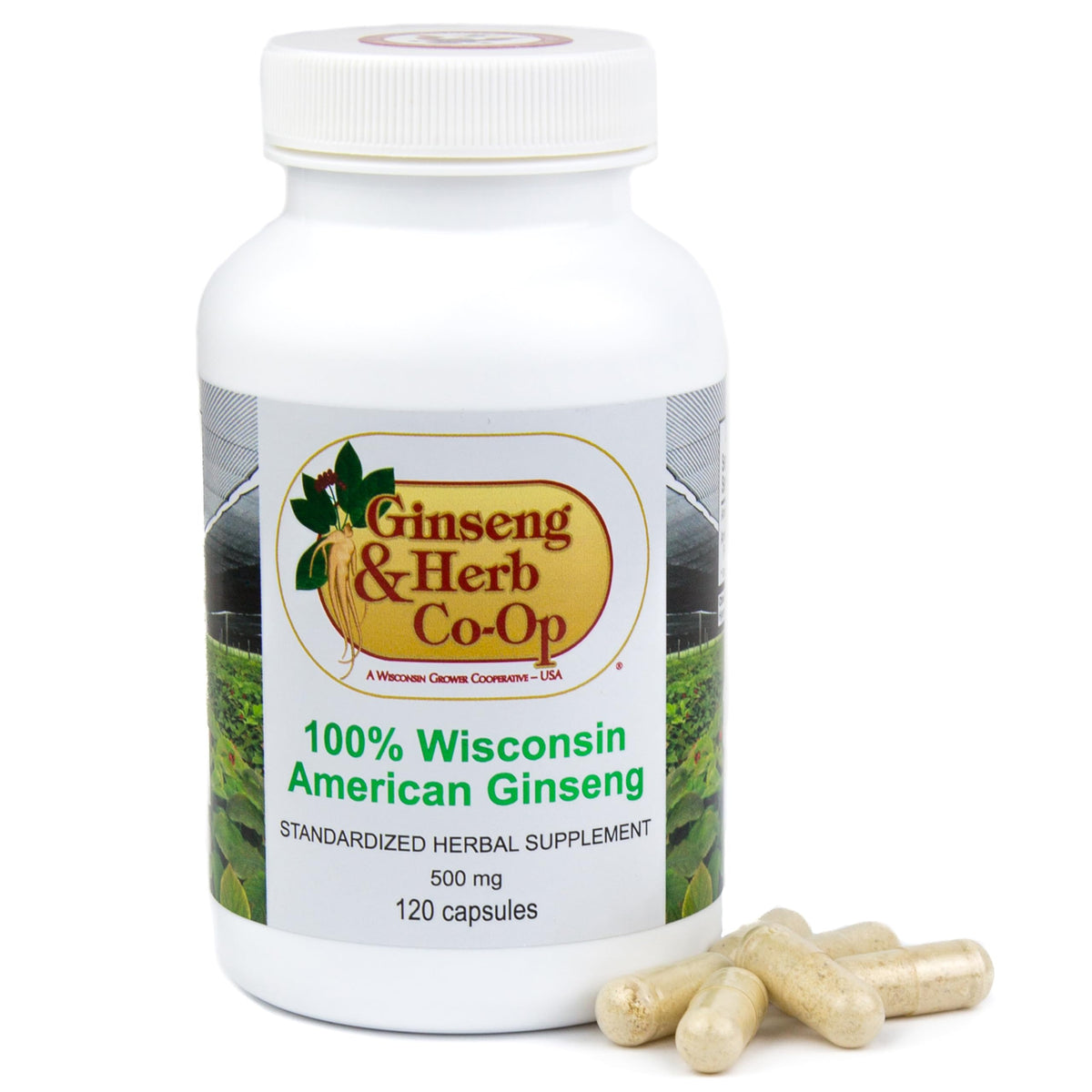 Capsules de Ginseng Américain Pur 500mg GINSENG & HERB CO-OP - vue avant