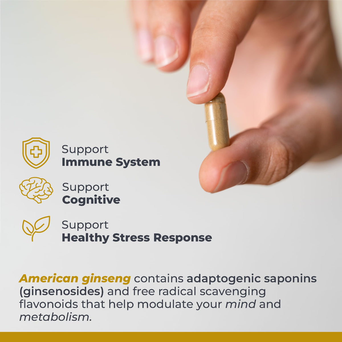 Capsules de Ginseng Américain sur surface en bois
