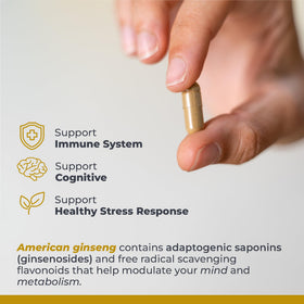 Capsules de Ginseng Américain sur surface en bois