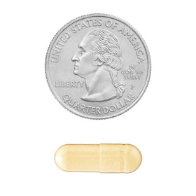 Capsules de ginseng Panax Convergence sur un fond en bois