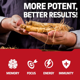 Capsules de ginseng rouge coréen Herbtonics sur fond blanc