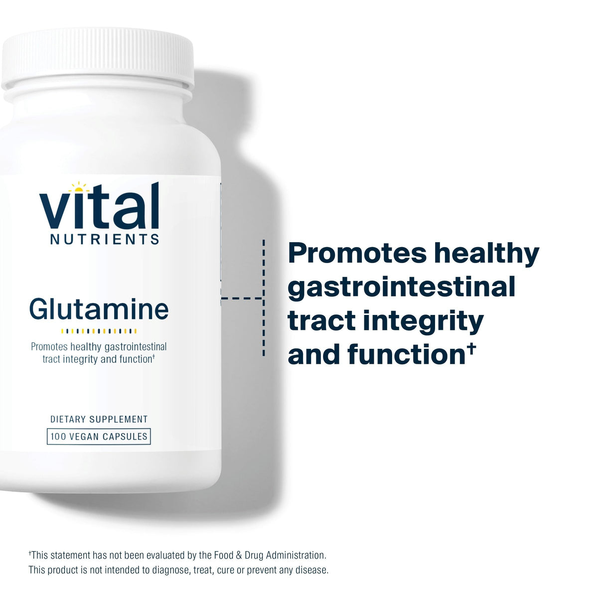 Capsules de Glutamine Vital Nutrients dans une main