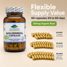Capsules de Goldenseal 250mg sur un fond blanc