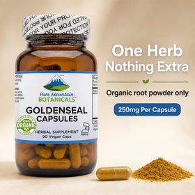 Capsules de Goldenseal 250mg sur une surface en bois
