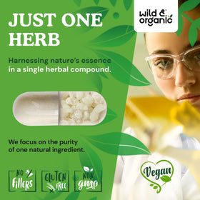 Capsules de gomme mastic Wild & Organic dans une main