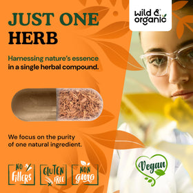 Capsules de Griffe du Chat Wild & Organic dans une cuillère