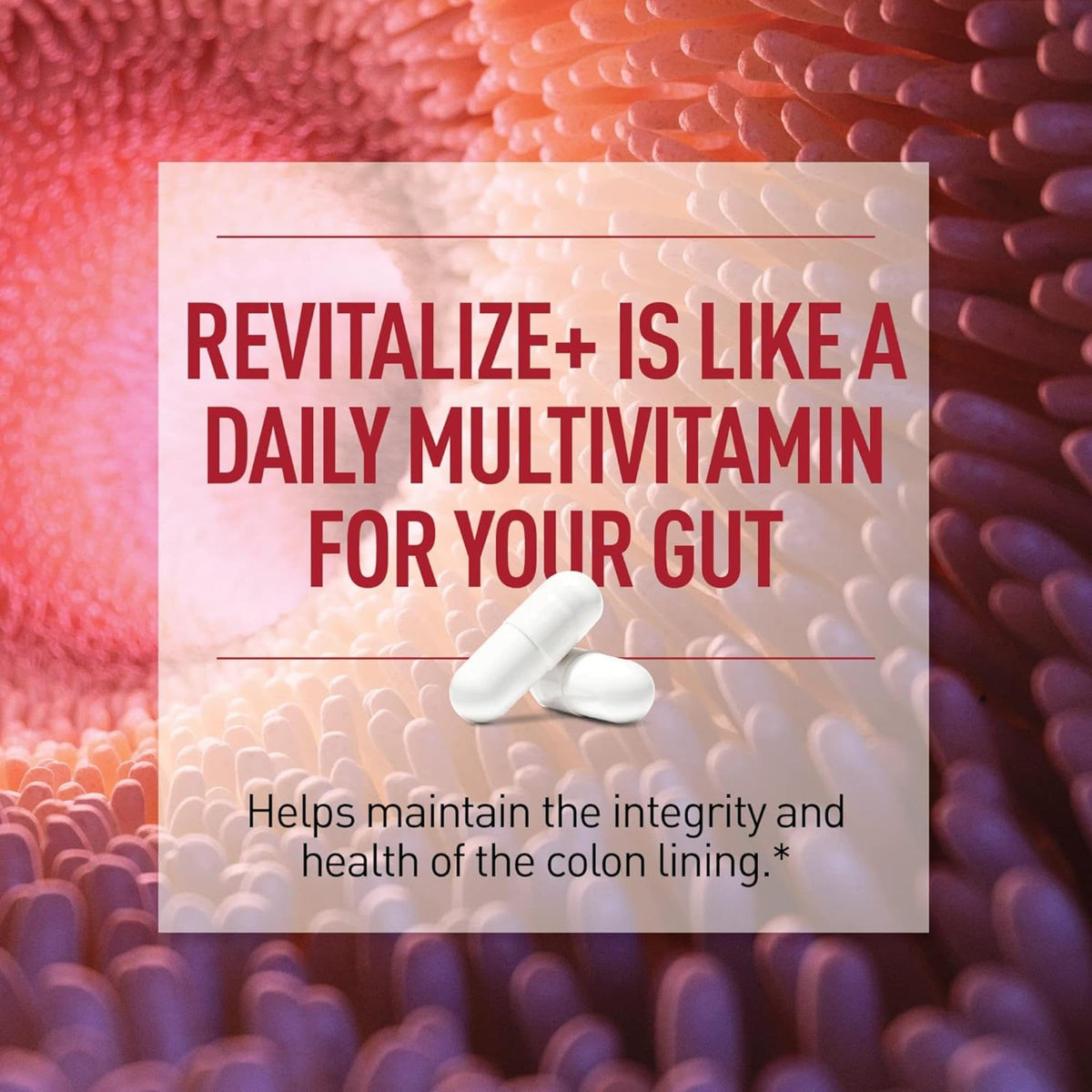 Capsules de Health Plus Revitalize+ dans une main