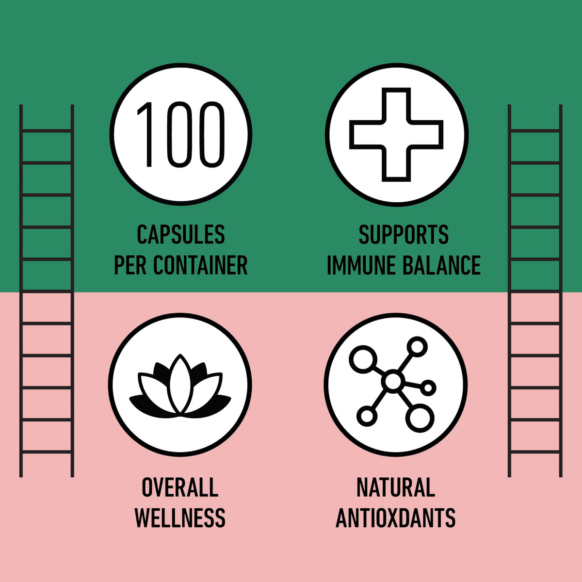 Capsules de hibiscus bio Complete Natural Products sur une table avec des fleurs d'hibiscus