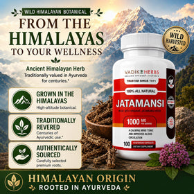 Capsules de Jatamansi dans une main, Vadik Herbs