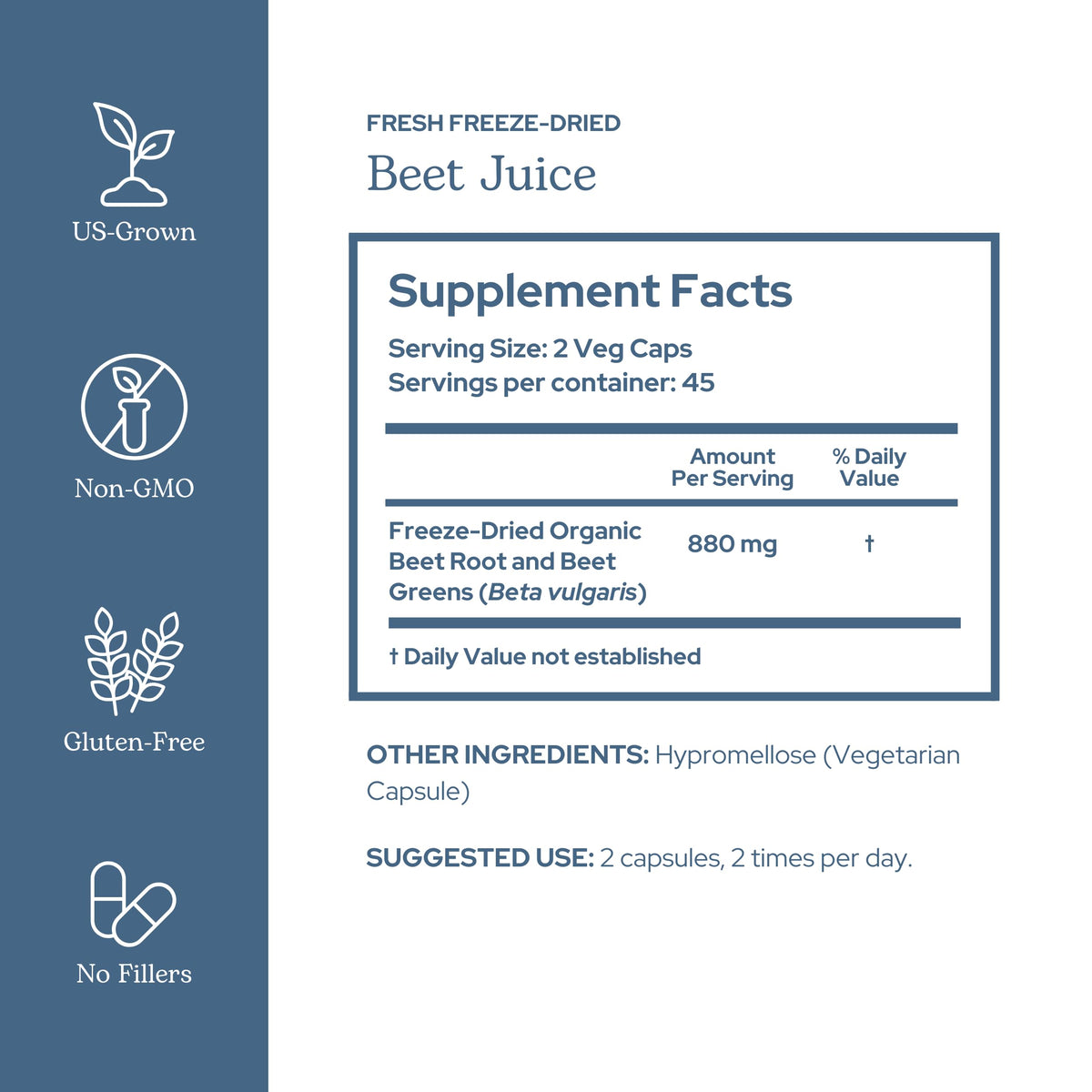 Capsules de jus de betterave bio ECLECTIC INSTITUTE sur fond blanc