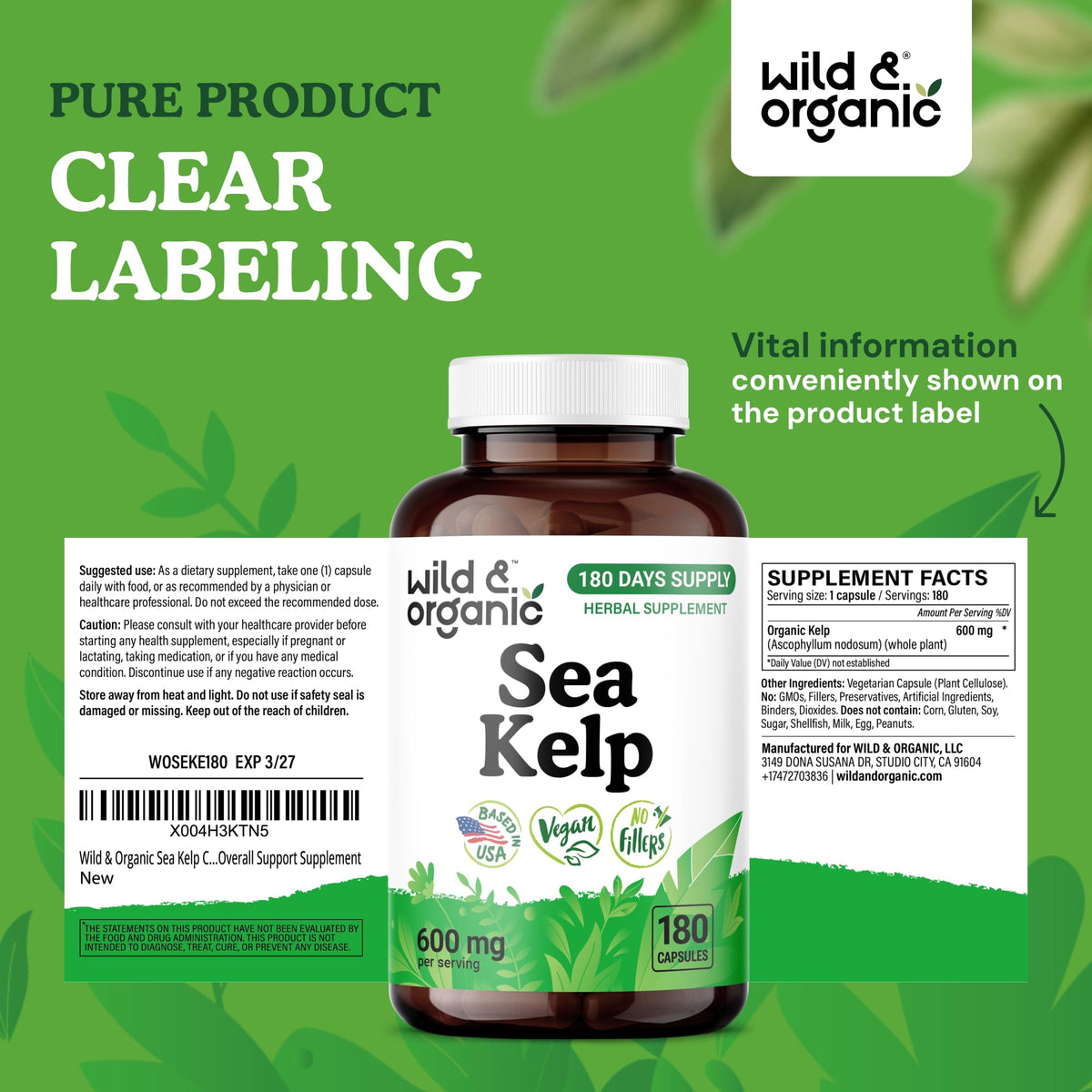 Capsules de kelp marin Wild & Organic dans une main