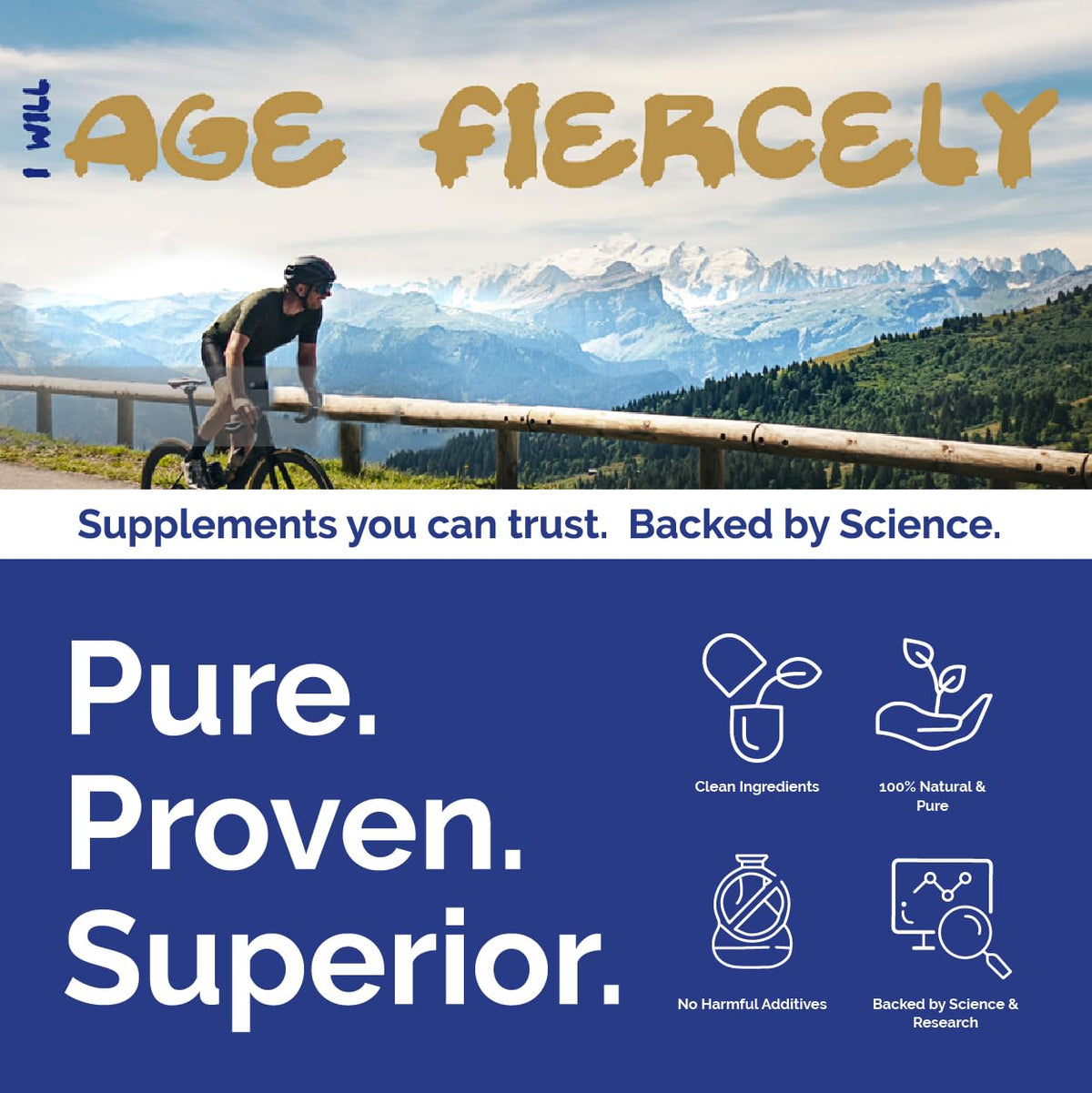 Capsules de L-Lysine 500 mg, étiquette avec spécifications
