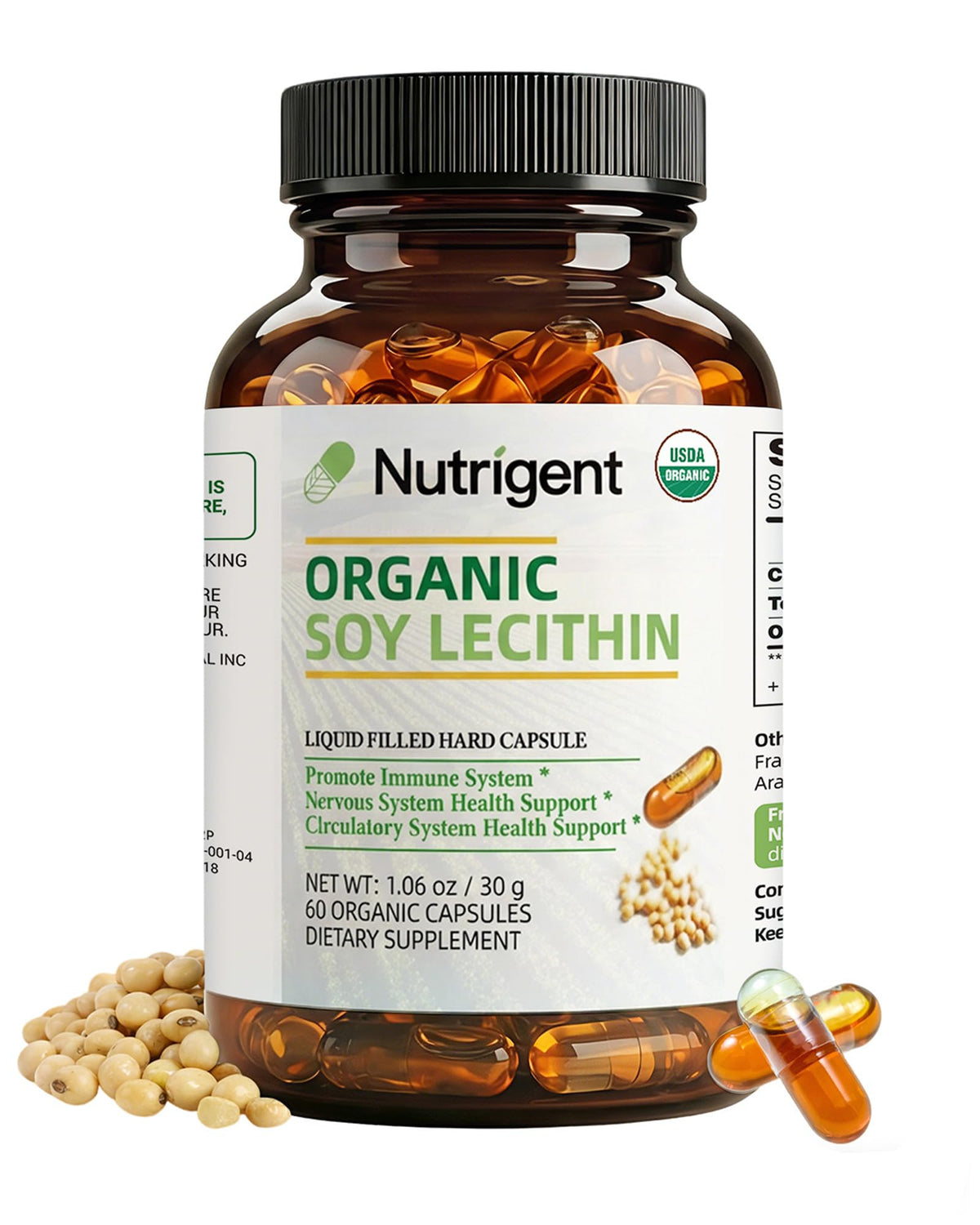Capsules de lécithine de soja biologique Nutrigent en boîte