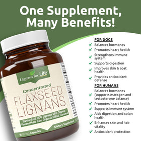 Capsules de lignanes de lin Lignans For Life sur fond blanc