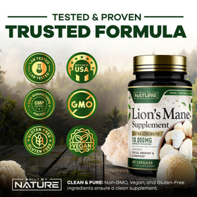 Capsules de Lion's Mane dans un bol en céramique