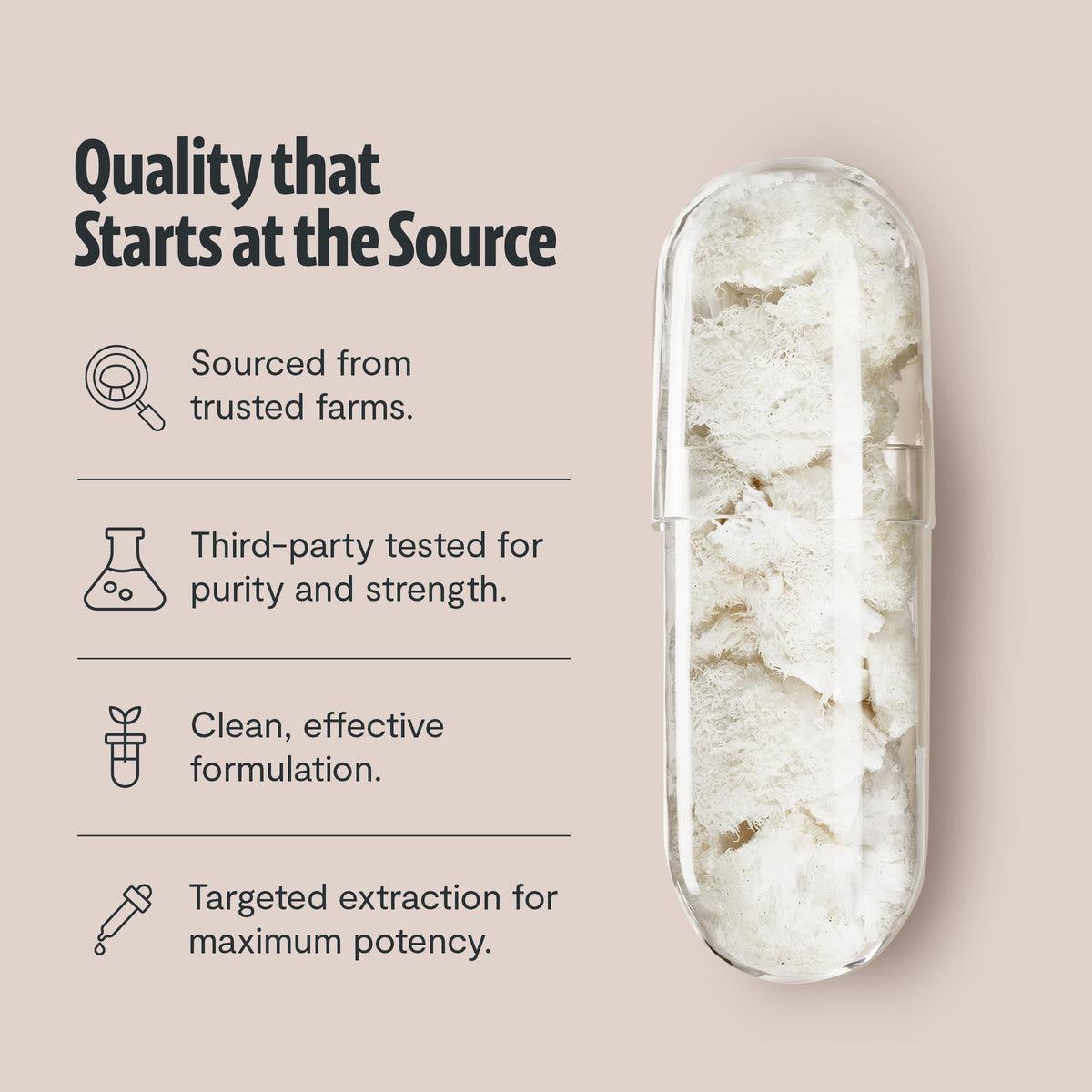 Capsules de Lion's Mane FreshCap dans une cuillère