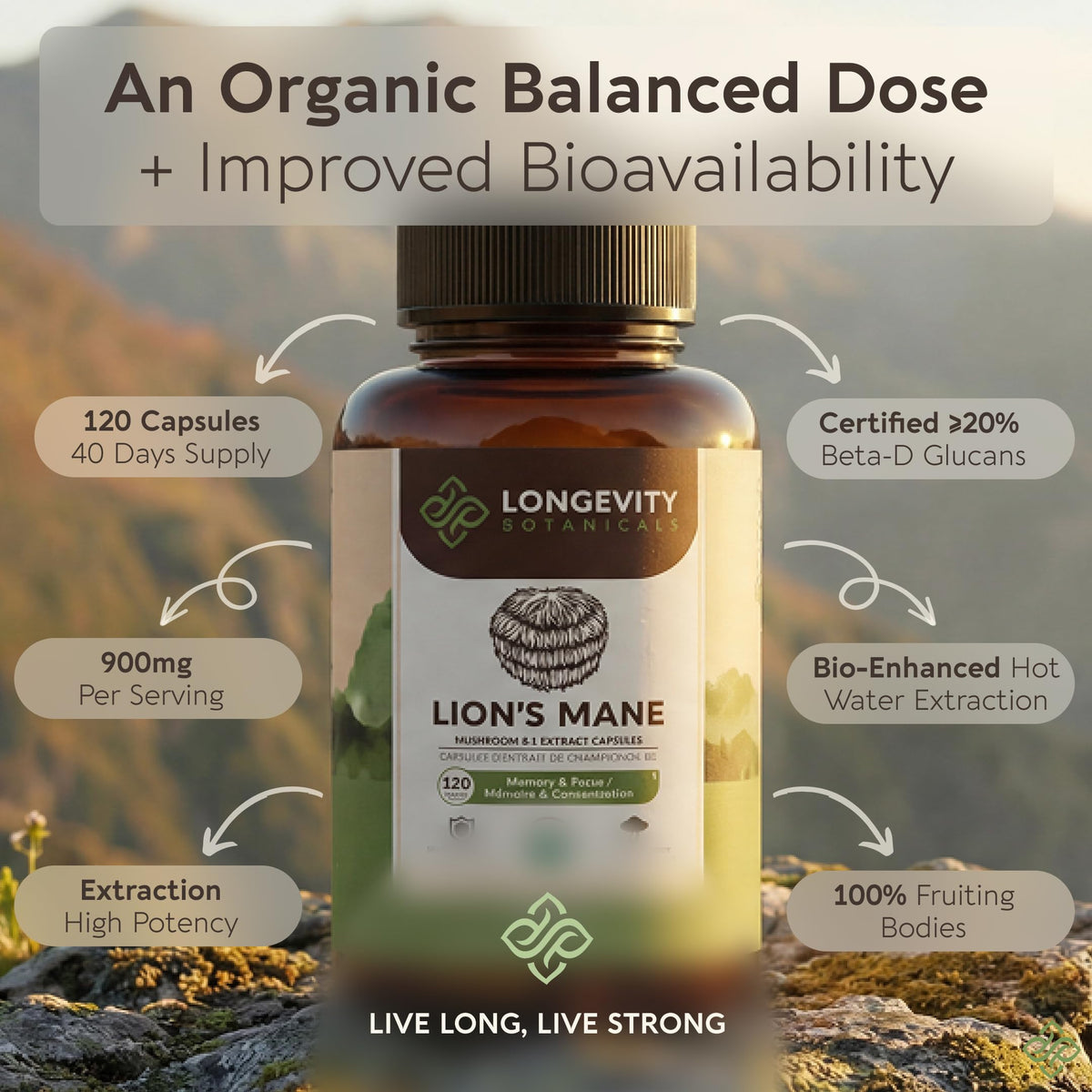 Capsules de Lion's Mane sur fond blanc
