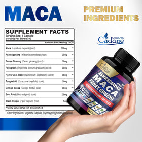 Capsules de Maca Organic Cadane prises en main avec un verre d'eau