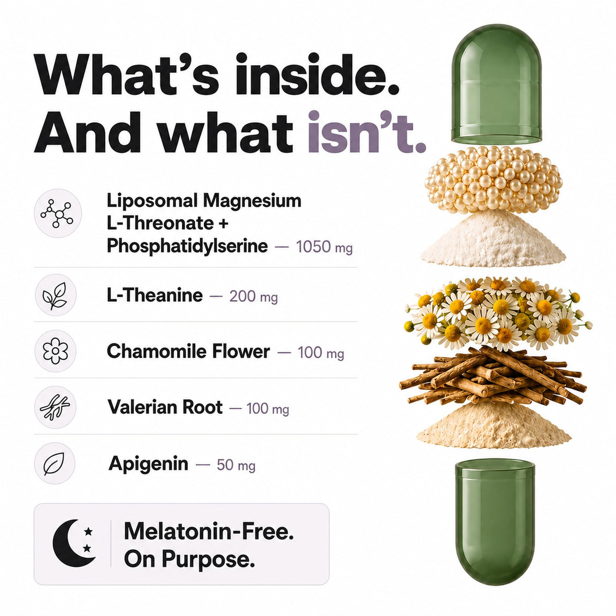 Capsules de Magnésium L-Thréonate Plus+Ultra dans une main