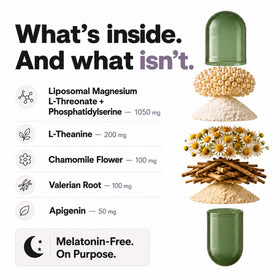 Capsules de Magnésium L-Thréonate Plus+Ultra dans une main