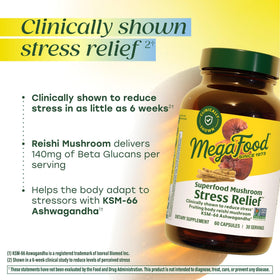 Capsules de MegaFood Superfood Champignon prêtes à être prises