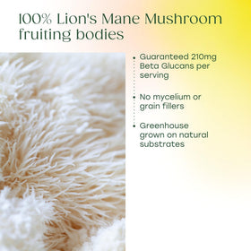 Capsules de MegaFood Superfood Lion's Mane sur une table