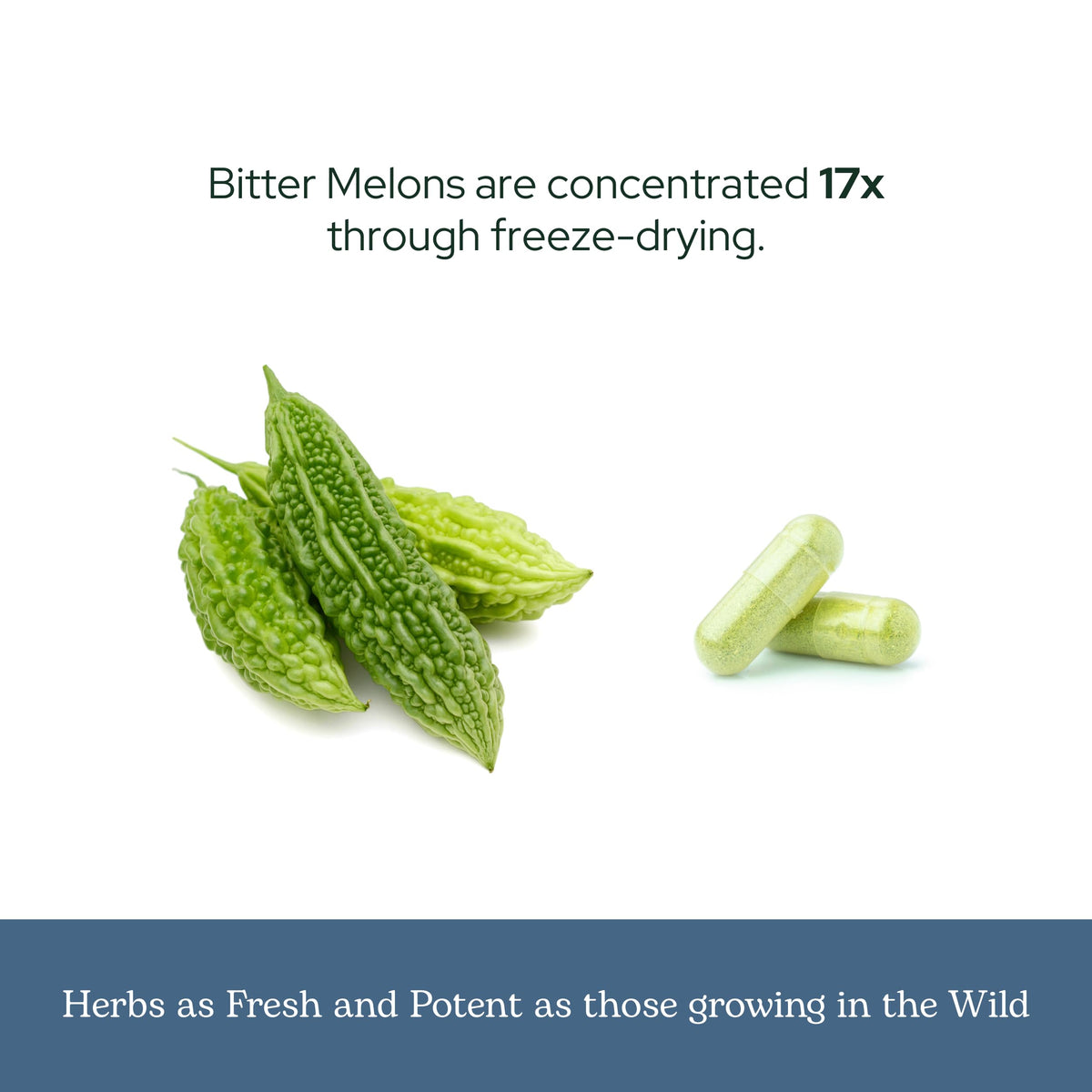 Capsules de melon amer sur une surface en bois