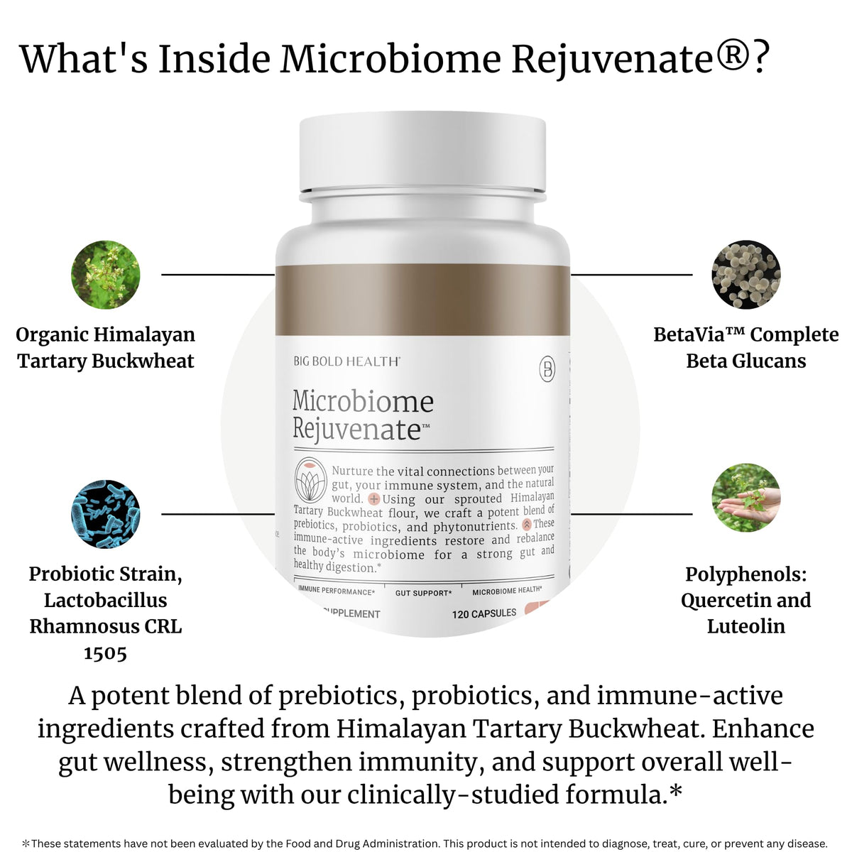 Capsules de Microbiome Rejuvenate BIG BOLD HEALTH sur une surface blanche