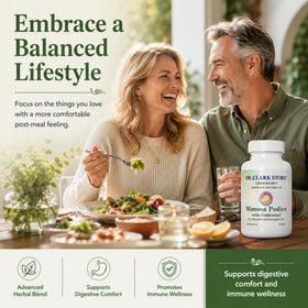 Capsules de Mimosa Pudica & Goldenseal dans une main