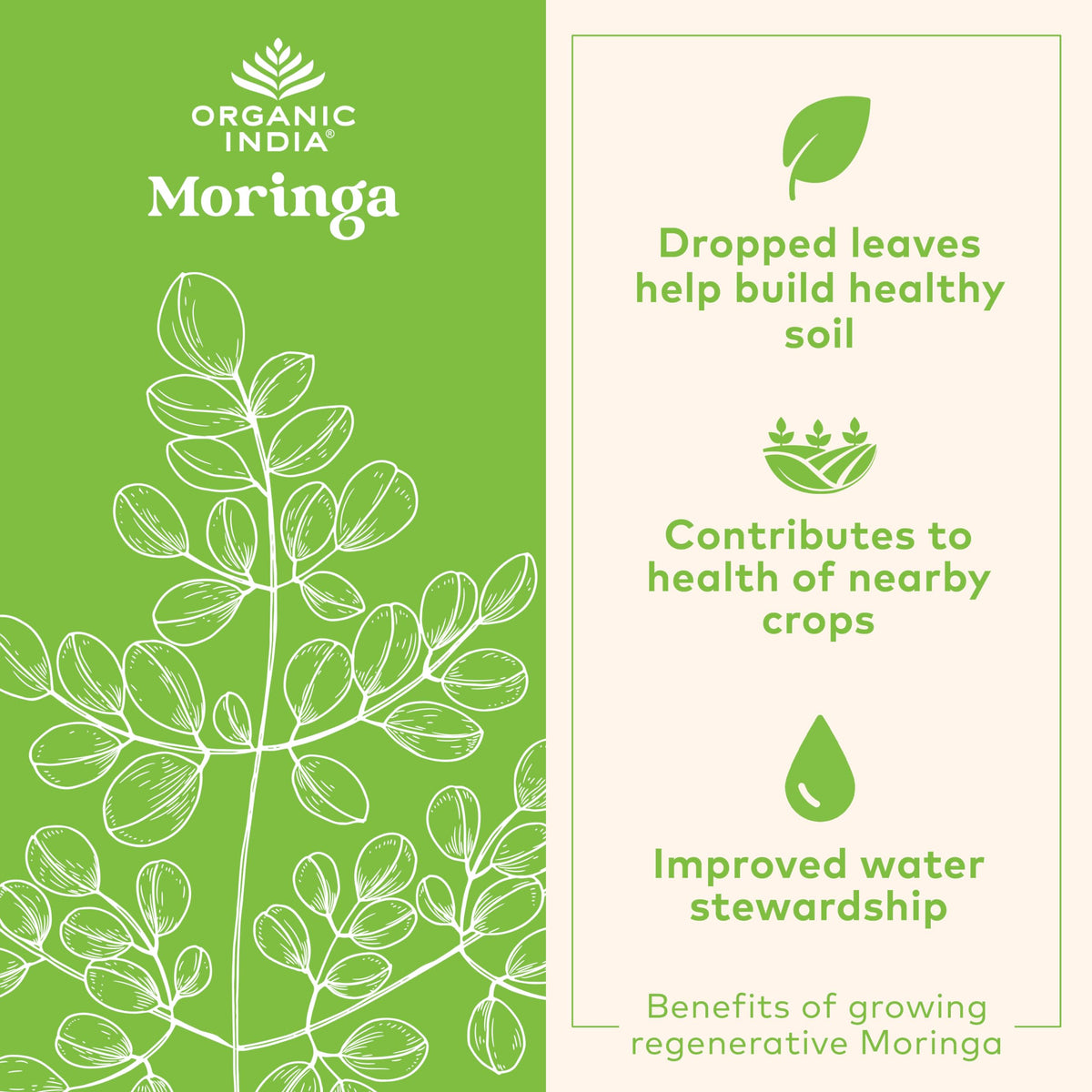 Capsules de Moringa Bio ORGANIC INDIA - vue de côté