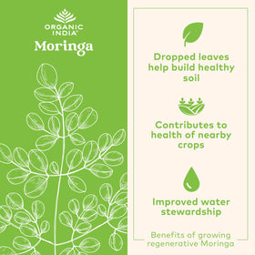 Capsules de Moringa Bio ORGANIC INDIA - vue de côté