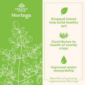 Capsules de Moringa Bio ORGANIC INDIA, vue de dessus