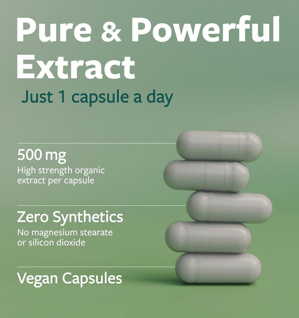 Capsules de Moringa Bio PURE CO sur un fond blanc