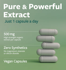 Capsules de Moringa Bio PURE CO sur un fond blanc