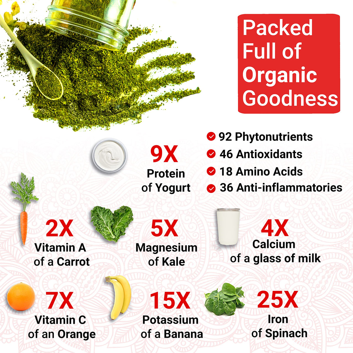 Capsules de Moringa Bio True Veda sur un fond blanc