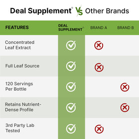 Capsules de moringa dans une main
