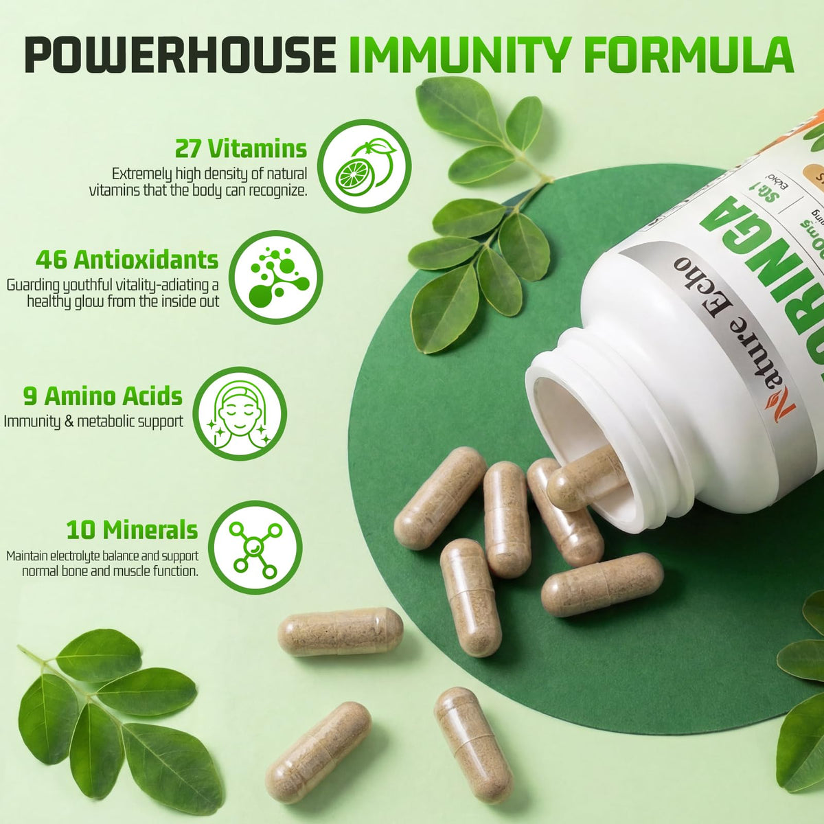 Capsules de Moringa Nature Echo avec étiquette visible