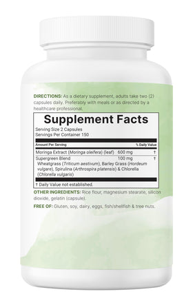Capsules de Moringa Oleifera dans une main