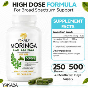 Capsules de Moringa Oleifera Yokaba sur une surface blanche