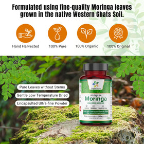 Capsules de Moringa Organic Aura dans un cadre naturel