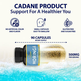 Capsules de Moringa Organic Cadane sur une table