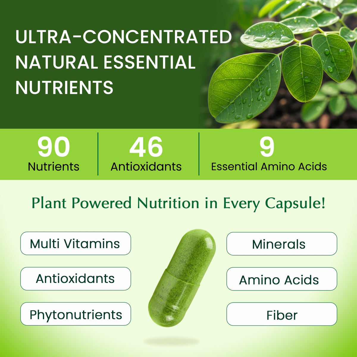 Capsules de Moringa Organic Veda sur une table