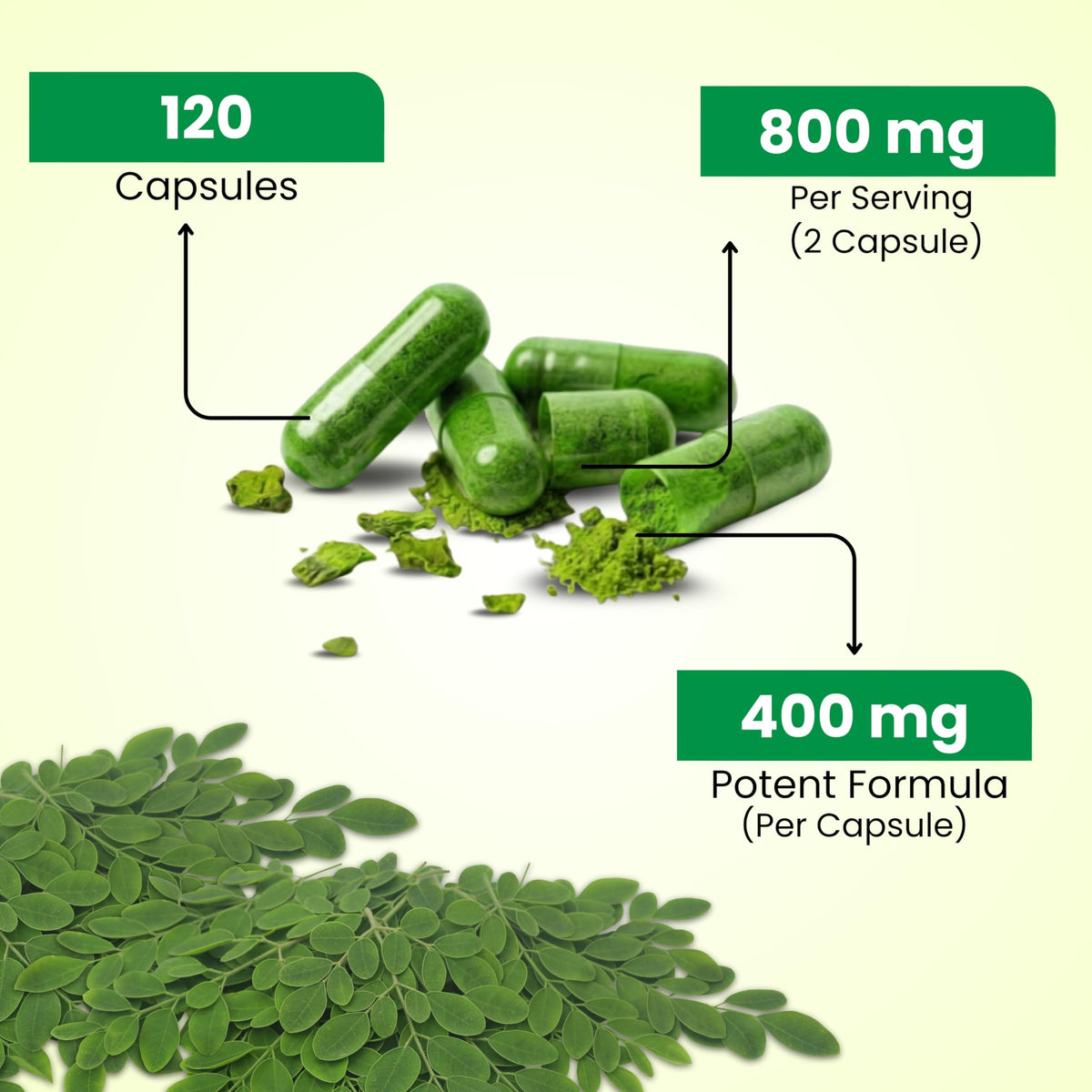 Capsules de Moringa Pur NaturalHerbo dans une main