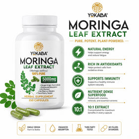 Capsules de Moringa Yokaba dans une main
