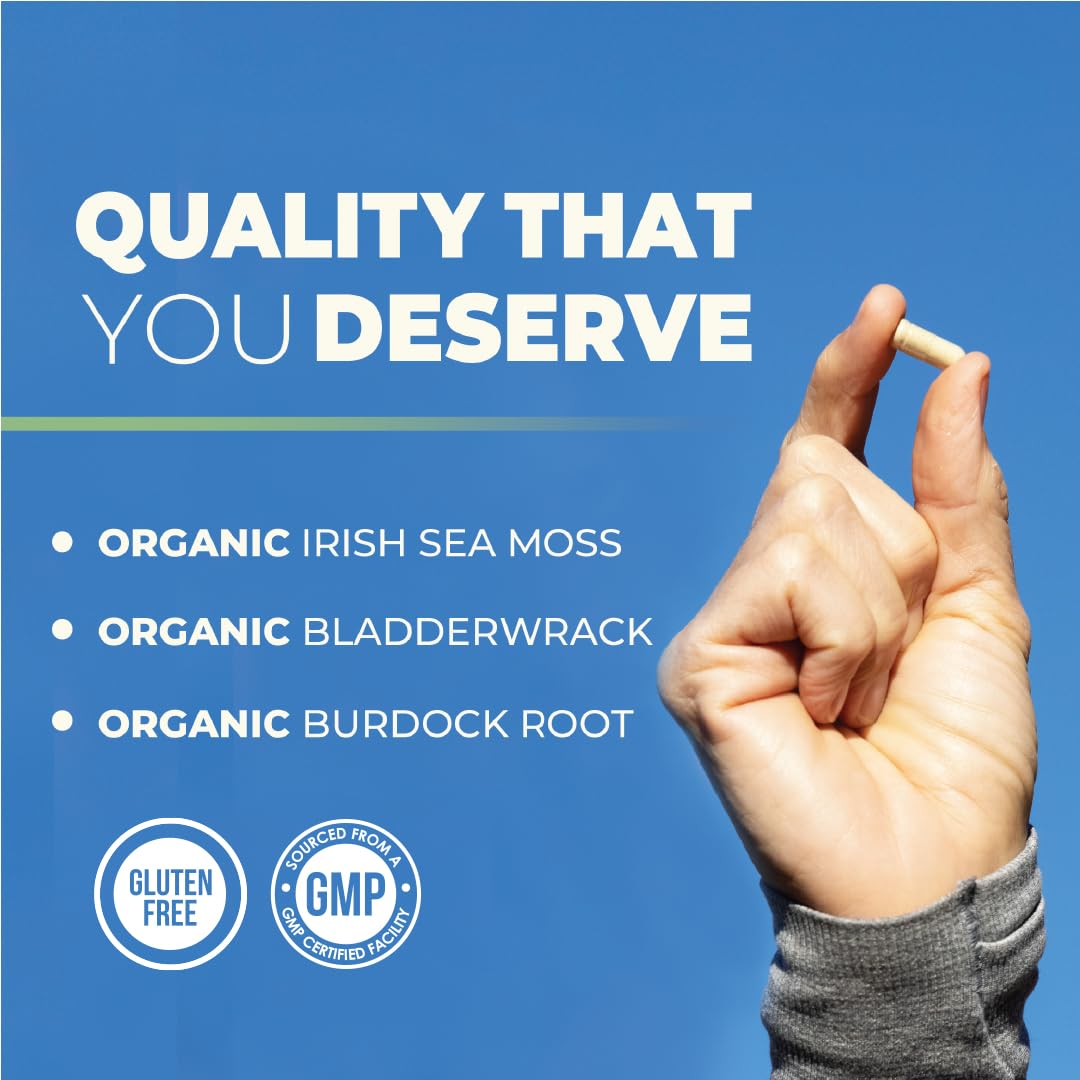 Capsules de Mousse de Mer Bio Nobi Nutrition sur une surface blanche