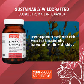 Capsules de mousse de mer bio Superfood Science avec des plantes