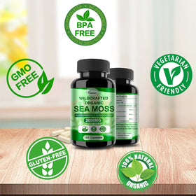 Capsules de mousse de mer Fleamart, contenant ouvert avec capsules