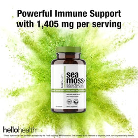 Capsules de Mousse de Mer HELLO HEALTH dans une main