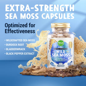 Capsules de mousse de mer Maju Superfoods avec une cuillère dosette